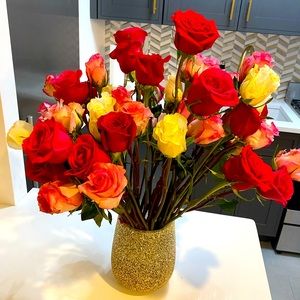 Meet your Posher, Zarina